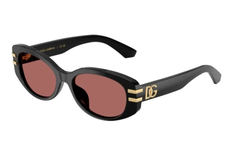 Ophthalmic Glasses Dolce & Gabbana DX4014 501/69