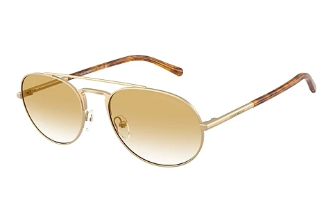 Aurinkolasit Emporio Armani EA2171 30022Q