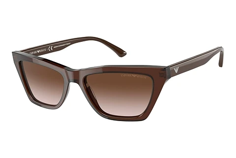 Akiniai nuo saulės Emporio Armani EA4169 591013