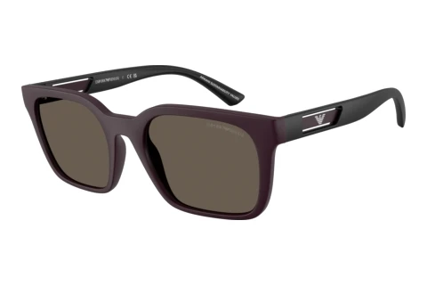 Solglasögon Emporio Armani EA4269 6371/3