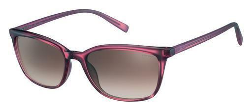 Sonnenbrille Esprit ET40004 577