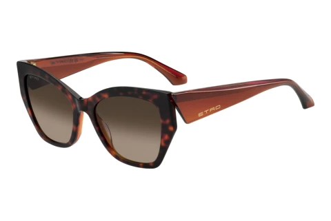 Óculos de marca Etro ETRO 0143/S L9G/HA