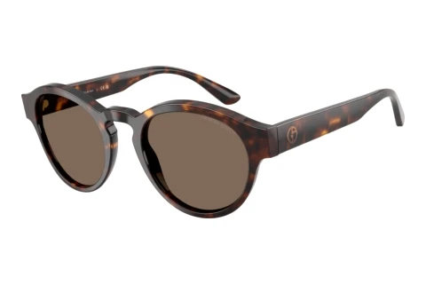 Lunettes de soleil Giorgio Armani AR8146 502673