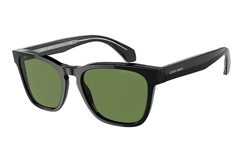 Solglasögon Giorgio Armani AR8155 58754E