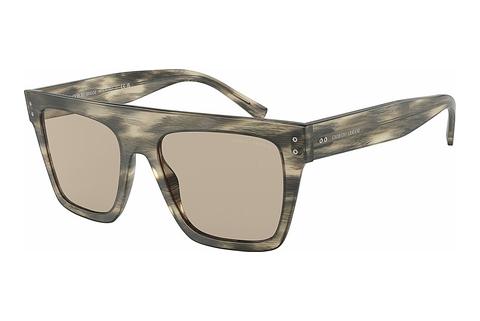 Sonnenbrille Giorgio Armani AR8177 5922/3