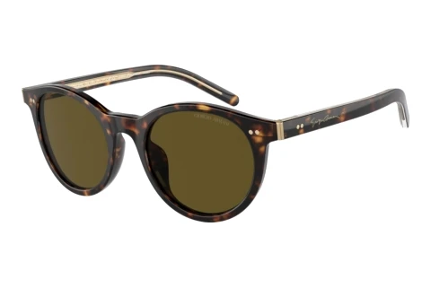 Ophthalmic Glasses Giorgio Armani AR8199U 587973