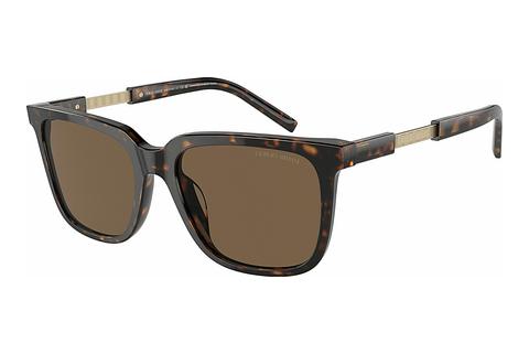 Sonnenbrille Giorgio Armani AR8202U 587973