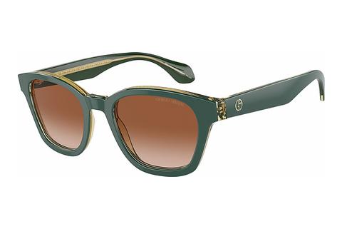 Sonnenbrille Giorgio Armani AR8207 608613