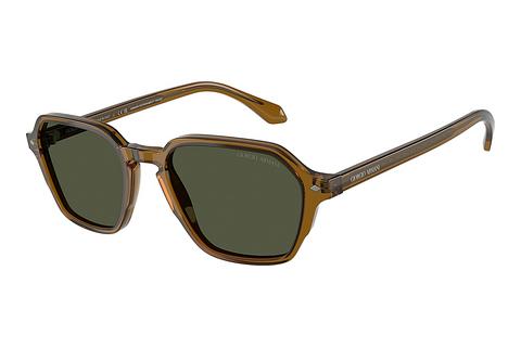 Sonnenbrille Giorgio Armani AR8220 617231