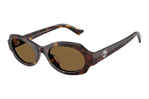 Solglasögon Giorgio Armani AR8245HU 587973