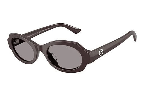 Solglasögon Giorgio Armani AR8245HU 6306/1