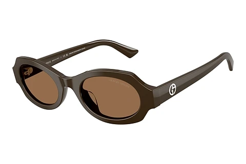 Solglasögon Giorgio Armani AR8245HU 630773