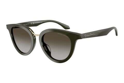 Solglasögon Giorgio Armani AR8252U 640013
