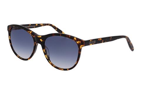 Sonnenbrille HIS Eyewear HS381 001