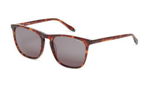 Sonnenbrille Hackett 3335 123