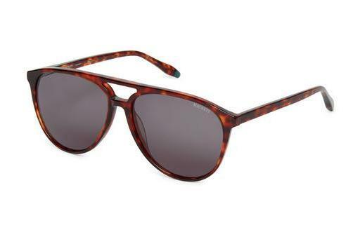 Sonnenbrille Hackett 3338 123