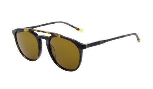 Lunettes de soleil Hackett 802 050