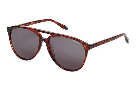 Sonnenbrille Hackett HSB3338 123