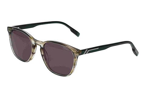 Gafas de visión Hackett HSB3352 969