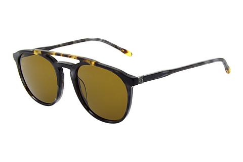 Gafas de visión Hackett HSB802 050