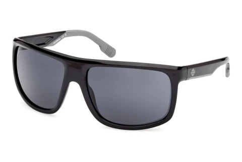 Ophthalmic Glasses Harley-Davidson HD00029 01A