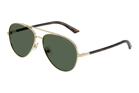 Solglasögon Jimmy Choo JC4026 300671