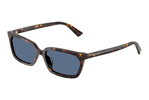 Γυαλιά ηλίου Jimmy Choo JC5050U 500280