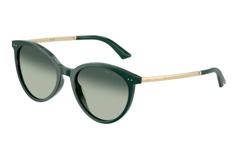 Gafas de visión Jimmy Choo JC5060 510019
