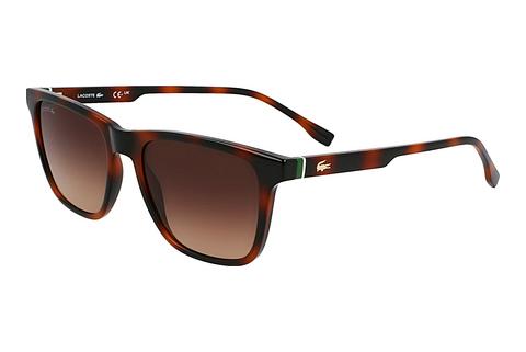 Lunettes de soleil Lacoste L6041S 214