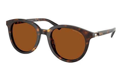 Lunettes de soleil Michael Kors BIG BEND (MK2227 300673)