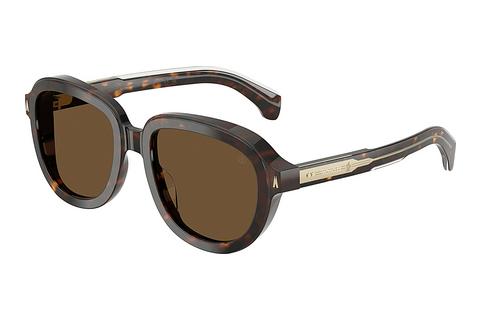 Sonnenbrille Moncler CIRSEE (ME6007U 300273)