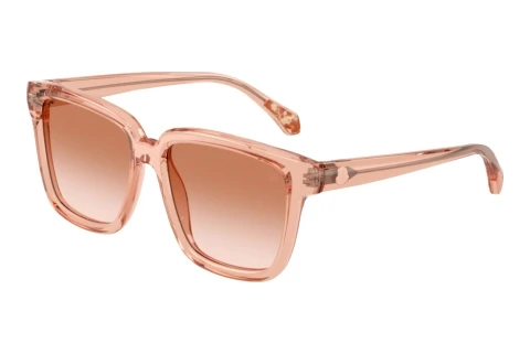 Gafas de visión Moncler CLASICO (ME6026 304513)