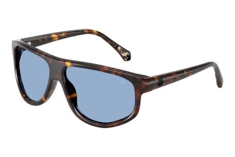 Ophthalmic Glasses Moncler ICEBORNE (ME6033U 300280)