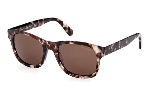 Solbriller Moncler Glancer (ML0192 55E)