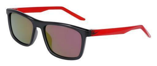 Sonnenbrille Nike NIKE EMBAR P FV2409 060