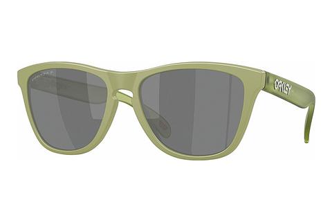 Akiniai nuo saulės Oakley FROGSKINS (OO9013 9013M2)