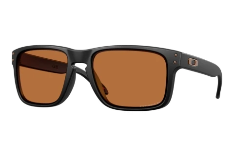Zonnebril Oakley HOLBROOK (OO9102 9102AM)