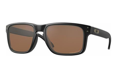 Akiniai nuo saulės Oakley HOLBROOK (OO9102 9102D7)