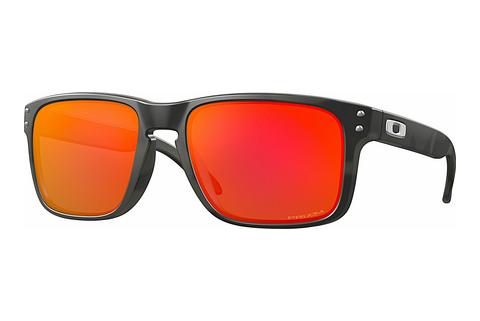 Sunčane naočale Oakley HOLBROOK (OO9102 9102E9)