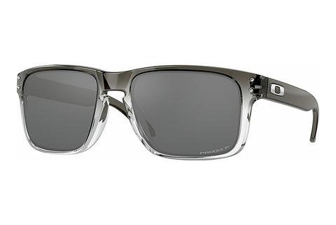 Sunčane naočale Oakley HOLBROOK (OO9102 9102O2)