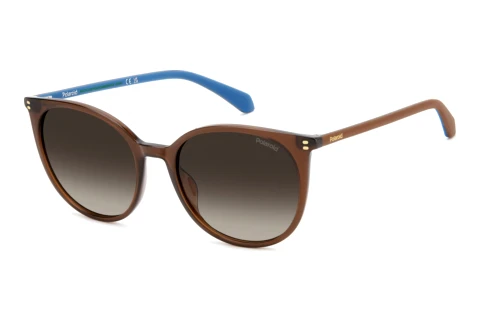 Ophthalmic Glasses Polaroid PLD 4208/S/X 09Q/LA