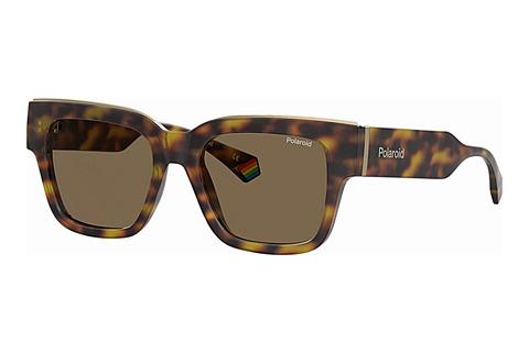 Lunettes de soleil Polaroid PLD 6198/S/X 086/SP