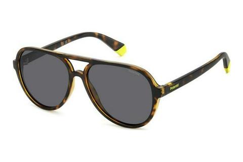 Lunettes de soleil Polaroid PLD 8046/S/T 086/M9