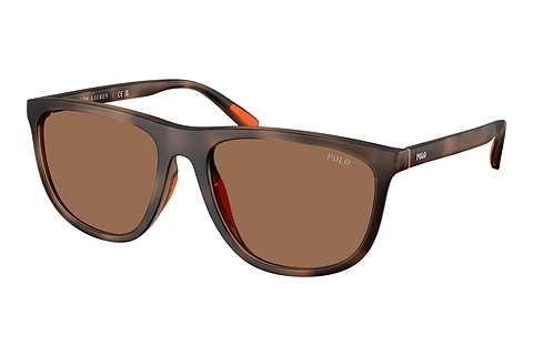 Akiniai nuo saulės Polo PH4231U 597473
