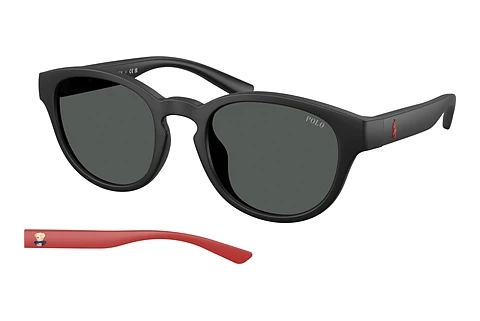 Saulesbrilles Polo PH4233U 550487