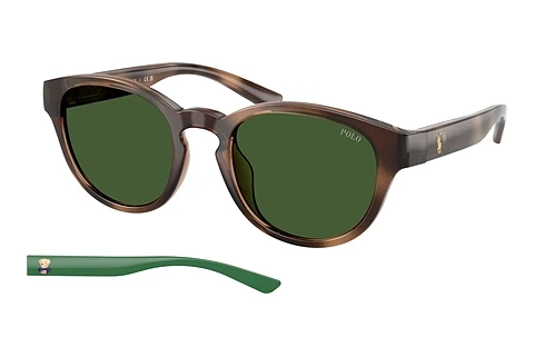 Saulesbrilles Polo PH4233U 607071