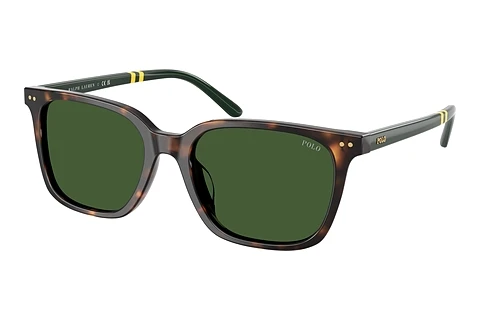 Γυαλιά ηλίου Polo PH4235U 500371