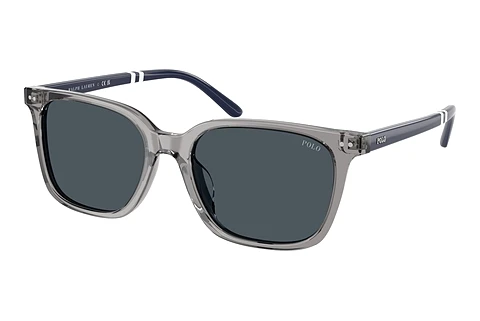 Ophthalmic Glasses Polo PH4235U 631887