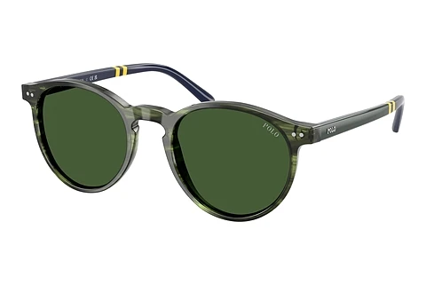Solglasögon Polo PH4236 631671