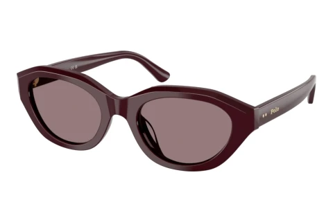 Zonnebril Polo PH4237U 63547N